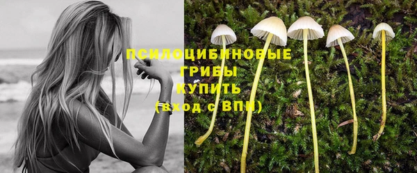прущая мука Абаза