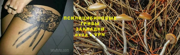 прущая мука Абаза