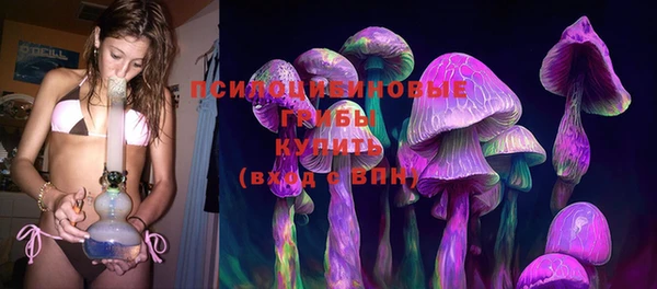 прущая мука Абаза
