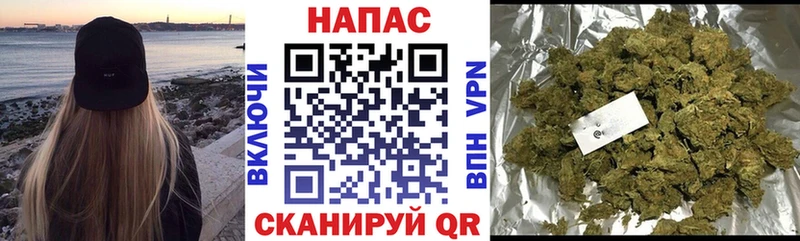 Шишки марихуана тримм  сайты даркнета наркотические препараты  Щёкино 